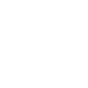 pelvis